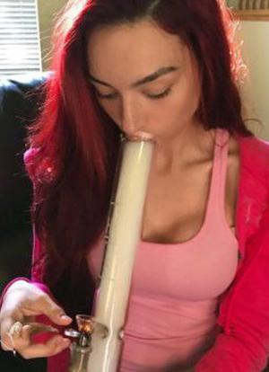 Haley 420